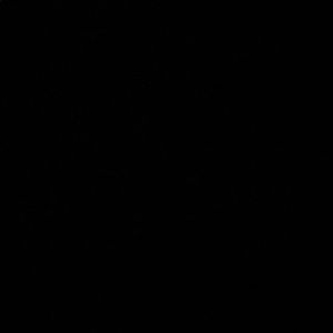 Meet your Posher, George